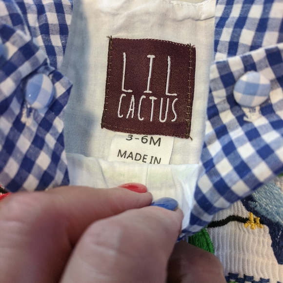 Lil cactus Smocked 3-6 month jon jon - Picture 3 of 4